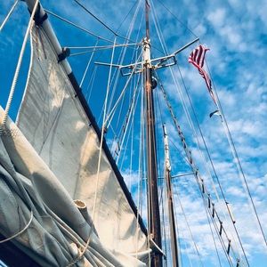 Meet your Posher, Suzanna